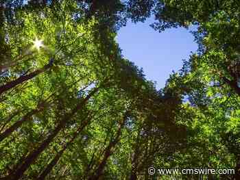 7 Ways to Align Your Website to Your ESG Commitments