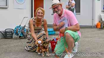 Beim Sommerfest im Tierheim ist ein Chihuahua der Star