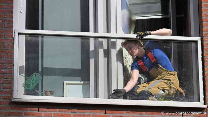 Brandweer maakt jacht op vastzittende jonge merel