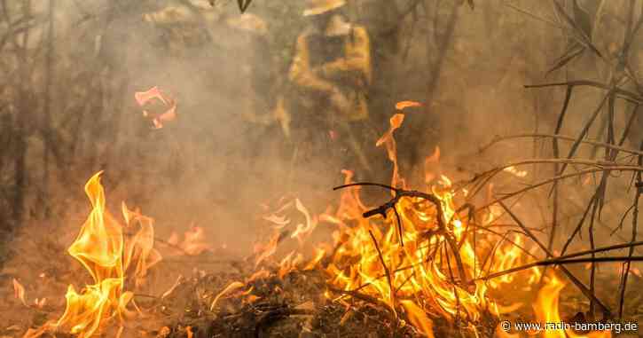 Rekordwaldbrände in Brasiliens Feuchtgebiet Pantanal