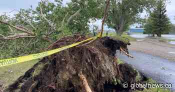 Southern Alberta hit by severe summer storm on Sunday night
