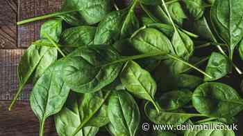 Urgent recall of 40 types of bagged spinach due to traces of deadly listeria