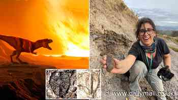 Enjoy a glass of wine? Thank the asteroid that killed the dinosaurs! Scientists say the extinction of the ancient reptiles paved the way for grapes to spread