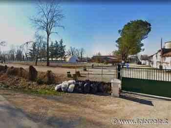 Cade da cavallo in una scuderia del milanese: ragazza di 23anni in gravissime condizioni