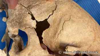 Shocking discovery provides evidence of ancient women going into battle alongside men - and being injured