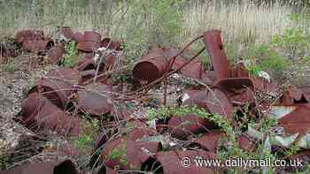 Cancer-causing radium detected in US city's groundwater due to landfill teeming with nuclear waste from WWII-era atomic bomb efforts