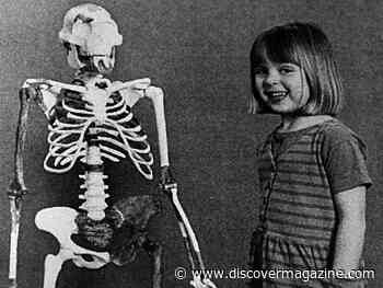 Lucy Stood Just 3.5 Feet Tall, But Still Towers Over Our Knowledge Of Human Origins