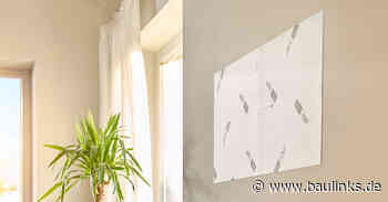 Jati: Lösungen zur Schimmelbekämpfung bei paralleler Nutzung der Räume