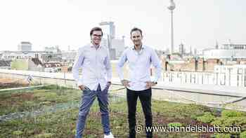 Insurtech: Wefox gibt Deutschland auf – Dentolo baut aus: Warum das Start-up profitabler ist als der Marktführer