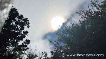 Farmworker advocates react to Florida law banning local heat protections