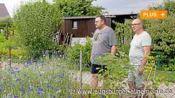 Umstrittener Pächterwechsel: Neuer Grünland-Vorstand verteidigt sich