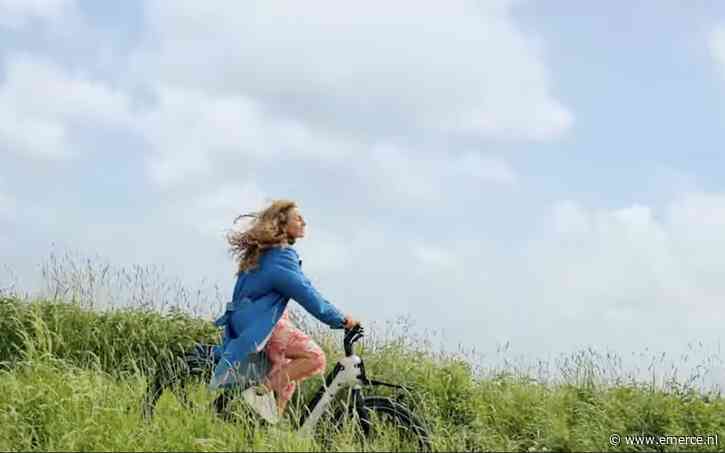 Springbok het nieuwe digitale en creatieve agency Vandebron