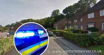 Man in court accused of multiple crimes in South Oxhey