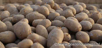 Pootgoedareaal 2024: fors meer fritesrassen