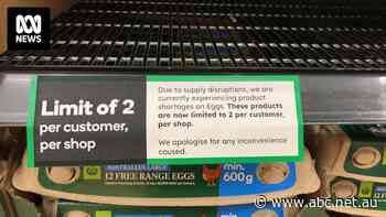 McDonald's cuts back breakfast hours over egg supply concerns, supermarket prices expected to rise