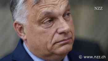 Ungarns EU-Präsidentschaft: Orban kann weniger Schaden anrichten als befürchtet