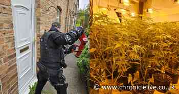 Man charged after cannabis farm worth more than £60,000 discovered inside Northumberland property