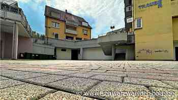 Kommt der urbane Spielplatz?: Das  steckt hinter  den neuen  Plänen   für  Nagolds  Traube-Platz