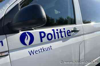 Vandalen stampen deur van strandcabine in