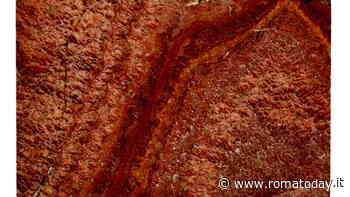 I colori dell'antico. Marmi Santarelli ai Musei Capitolini