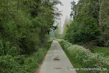 Lichaam van vermiste Slovaakse bestuurder (20) levenloos aangetroffen na crash