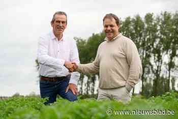 Hedwig Kerckhove geeft schepenambt definitief door aan Stefaan Verhelle: “Grote schoenen om te vullen”