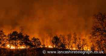 What is a wildfire? How to check for travel advice