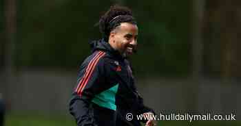 Hull City send classy message to Tom Huddlestone as ex-Tottenham midfielder confirms retirement