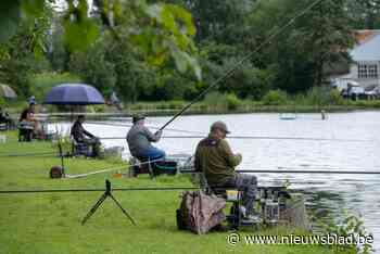 Vanaf oktober geen vissers meer toegelaten aan visput Klein-Willebroek: Provincie wijst op PFOS-concentratie in het gebied
