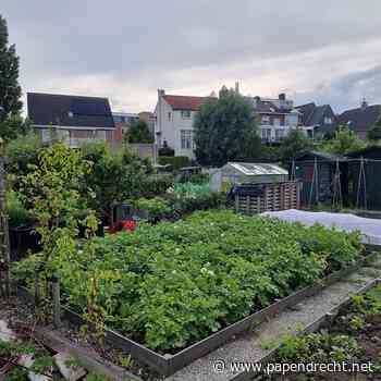 Gemeenten en Chemours stemmen in met start pilot herstel moestuinen