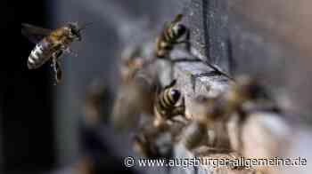 Bienenstöcke an der Jakobsruhe gestohlen: Polizei sucht Zeugen