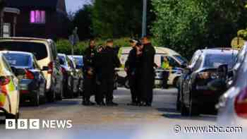 Police watchdog to investigate XL Bully shooting