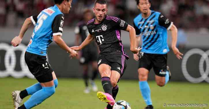 FC Bayern holt Offensivtalent Ibrahimovic zurück