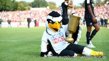 Darum steigt Liqui Moly beim SSV Ulm ein