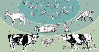 Wären wir auf eine Vogelgrippe-Pandemie vorbereitet?