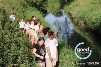 Chiro Arika laat 800 eendjes racen op de Herk
