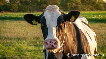 Landbouwminister Wiersma wil zich houden aan stikstofdoel in 2025