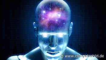 Gehirnzellen aus der Petrischale sollen Roboter lenken