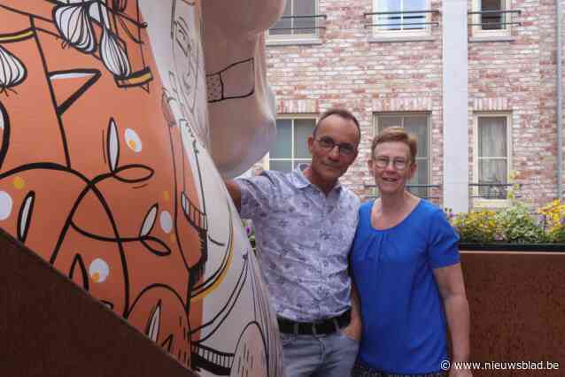Gerestaureerd paardenhoofd pronkt na twee jaar op dakterras van Paul (59) en Ariane (60): “De illustraties tonen de verschillen tussen Aalst en Dendermonde”