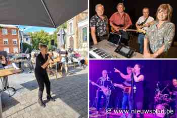 Niel feest met lokaal talent op Muziekbijoekes