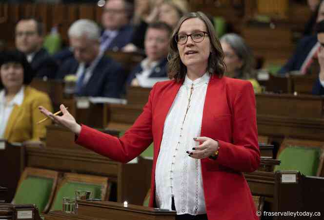 Liberal MP suggests party needed stronger ground game in Toronto—St. Paul’s vote