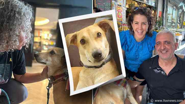 Dog lost for 40 days after terror attack on Israel now comforts hostage family members
