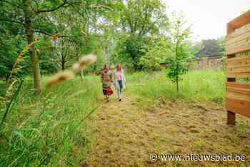 Geboortebos voortaan ook natuurbegraafplaats: “Zo maken we de cirkel van het leven rond”