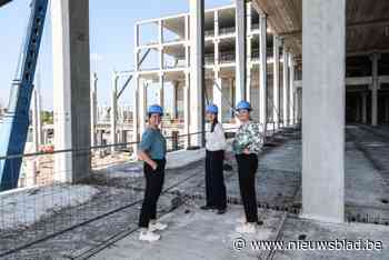 Gigantisch ‘urban warehouse’ van Desco krijgt vorm: “Bewuste keuze om in Wijnegem te blijven”