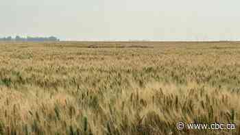 Is driving through Saskatchewan boring?