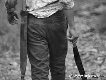 Accerchiati e minacciati coi machete. Così i marocchini hanno aggredito i poliziotti nei boschi del comasco