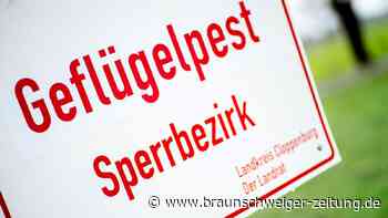 Geflügelpest in Betrieb in Niedersachsen nachgewiesen