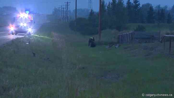 Teen driver in fatal Springbank crash given probation, driving prohibition