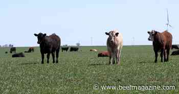 Making the most of forage resources