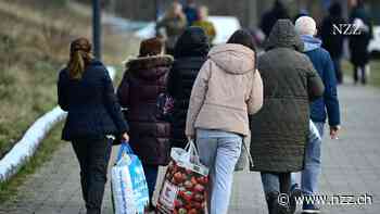 Hält das Bürgergeld die Ukrainer vom Arbeitsmarkt fern – oder ist es die deutsche Bürokratie?